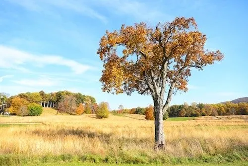Storm King Art Center, close to Bear Mountain
