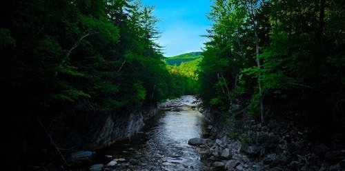 Kancamagus Pass in summer, one of the best things to do in Lincoln NH