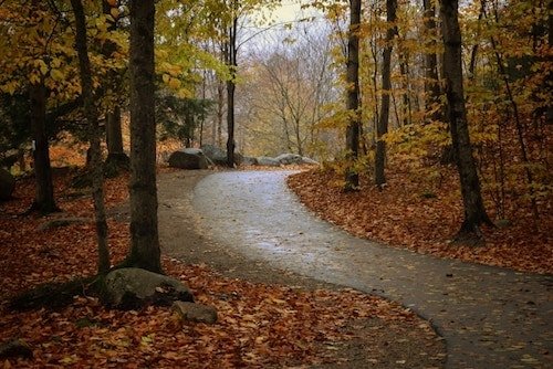Pathway through Flume Gorge