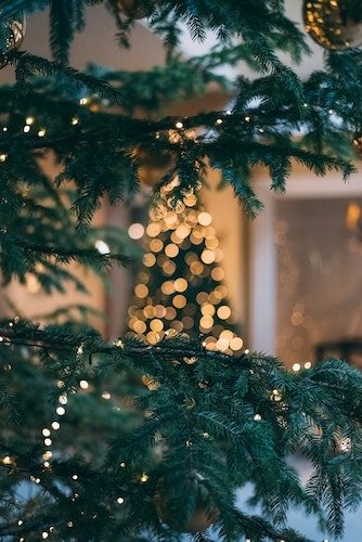 Night celebration with New England cuisine and decorations galore