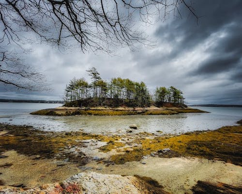 winter season on the shoreline of Freeport Maine, shopping is one of the top winter sports