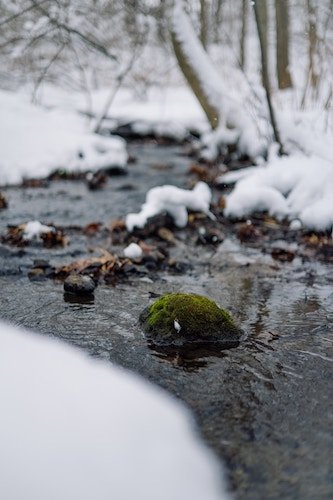 A wintry brook in Northampton, MA, along well-groomed trails