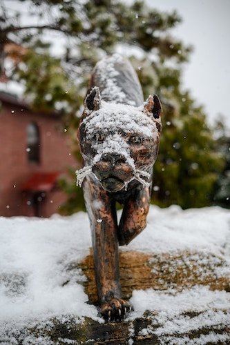 UVM Catamount in the snow on New England winter getaways