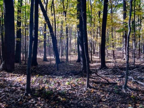 Saxon Woods Park in White Plains