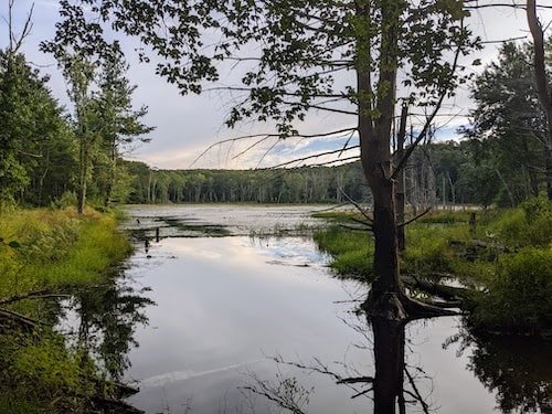 Lake along the Airline State Park Trail in Windham County