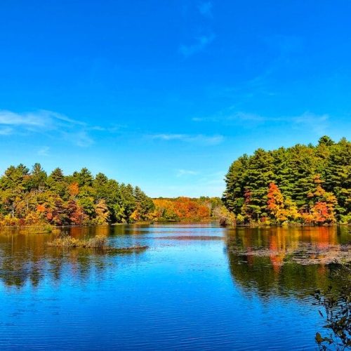 New England autumnal foliage of vibrant fall colors