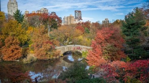 The Gapstow Bridge spanning the Pond in Central Park during peak foliage