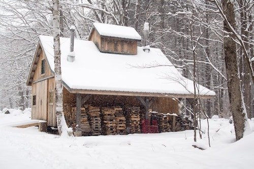 New Englanders equate the cold of March with maple syrup from local maple trees