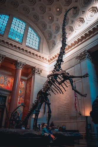The Natural History Museum at Central Park West