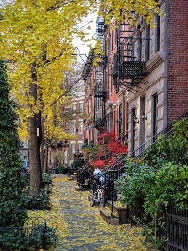 Walking through a neighborhood in Staten Island