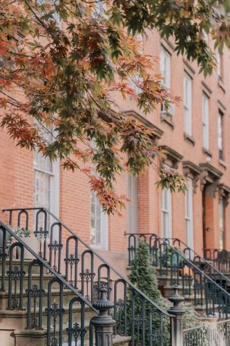 New York fall foliage on maple trees along the streets