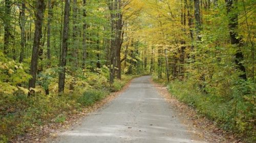 Hiking trail through the Berkshires