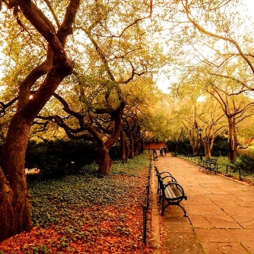 A stroll through New York in October