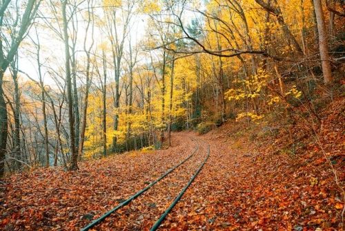 Train journey through fall landscapes, like the Adirondack Scenic Railroad