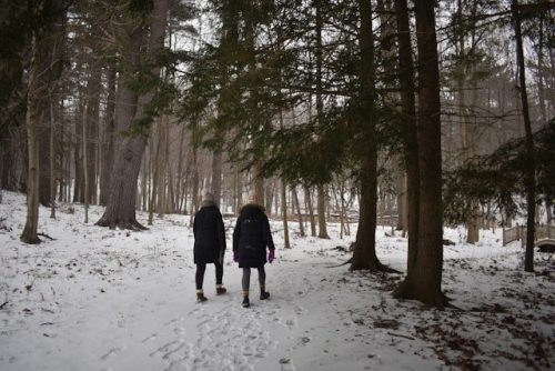 Two people walk in the winter woods