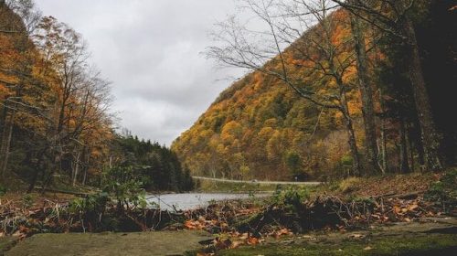 Scenic trails through upstate New York fall foliage