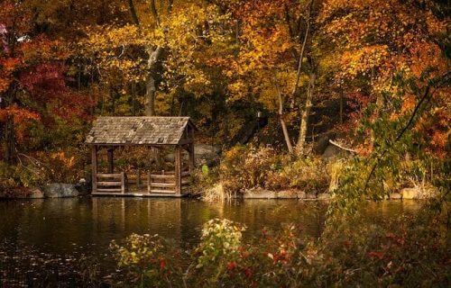 Shelter near a lake in the most famous of the NYC parks