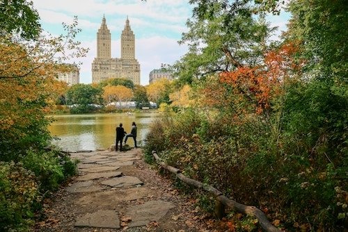 Visiting NYC in the fall, starting with Central Park