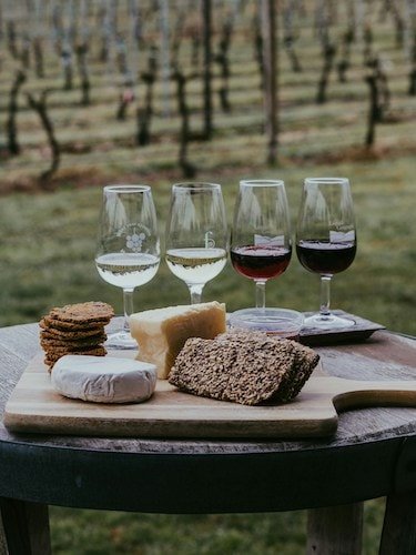 Early spring at a New England winery