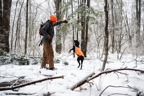 Man walking in the woods of New Hampshire with his dog