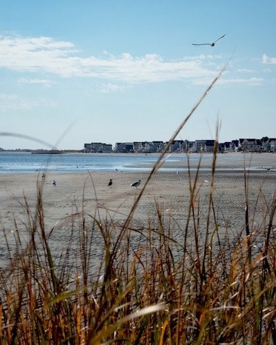 A romantic walk along the beach at Walnut Beach in Milford, CT