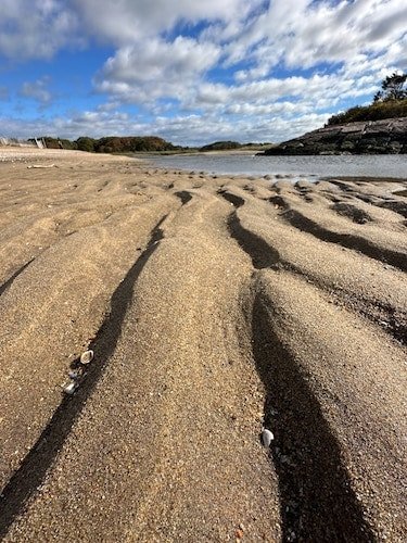 The sands of Hammonasett Beach State Park in nearby Madison, Connecticut