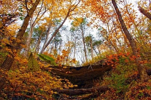 Fall in Warren, Connecticut