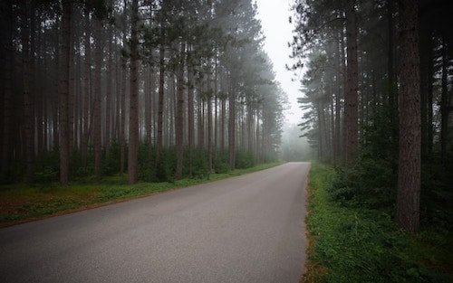 Road through the woods to Thompson, CT