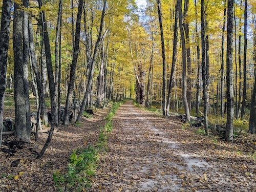 A walk in the woods and rolling hills of the town of Salisbury, Connecticut