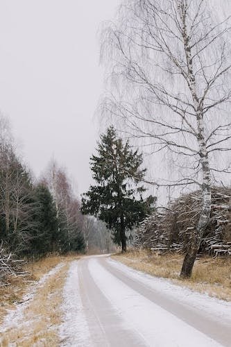 The rural feel is immediately apparent as soon as you arrive