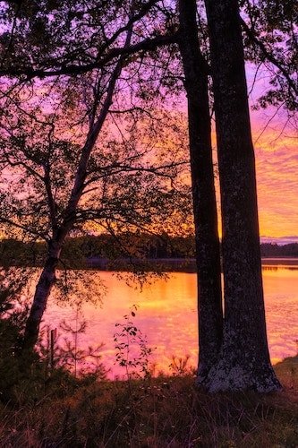Trees beside a lake in Thompson, Connecticut