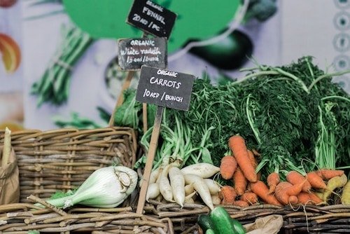 New England farmers market in Northeast CT