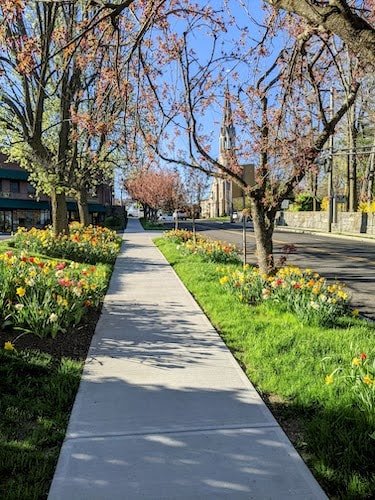 A walk among the blooming flowers of downtown Greenwich, Connecticut, in April