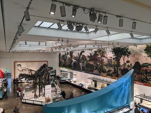 Inside the newly renovated Yale Peabody Museum, with exhibitions your kids won't soon forget