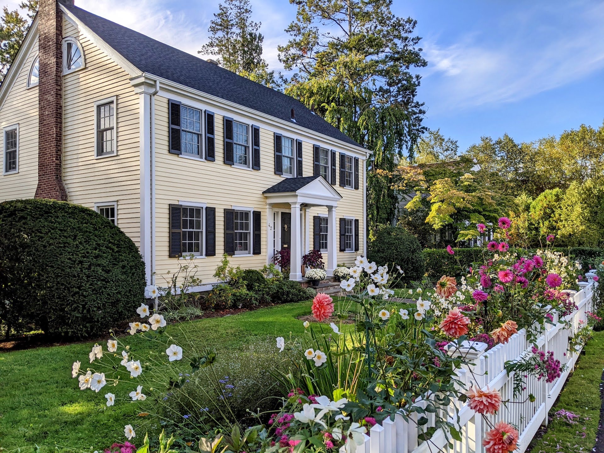Dahlias and flowers blooming in front of a charming Greenwich home