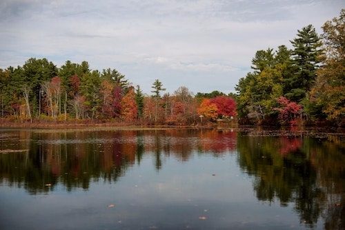 Gorgeous fall foliage along a lake in central Massachusetts