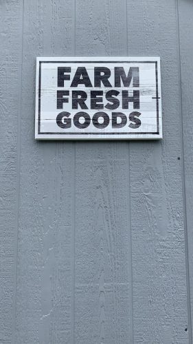 visiting farmstands is one of the best things to do in CT in June