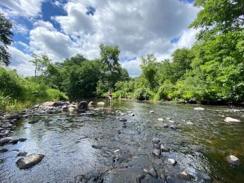 fly fishing is one of the best things to do in CT in June