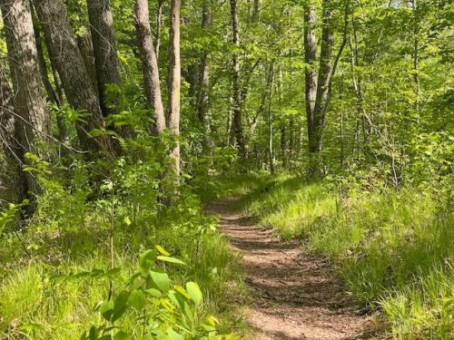 hiking trail