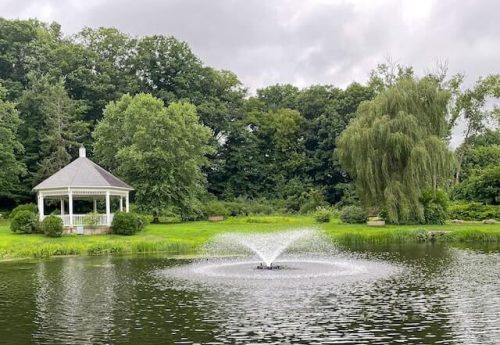 hanging out in parks is one of the best things to do in CT in June