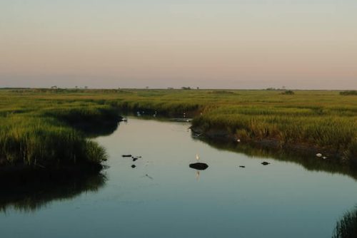 sunset over the marshes