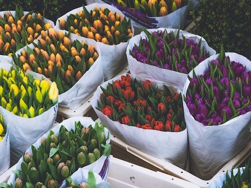 tulips in a farmers market for the April foodie guide