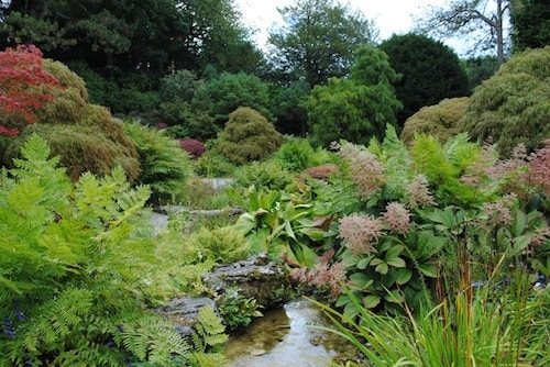 rock garden nestled in the Berkshire Botanical Garden with a significant collection of plants
