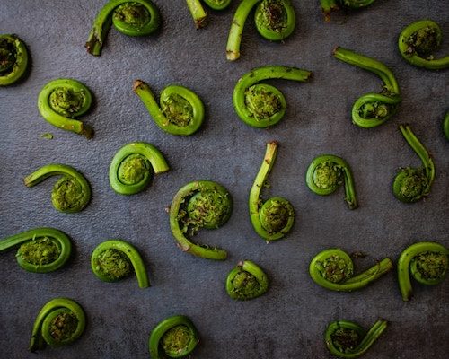 fiddlehead ferns in our May foodie guide