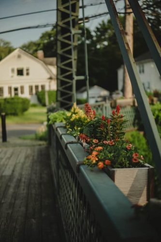 Things To Do In Ct In July: Top 23 Most Unique Spots 2 flower bridge in Simsbury