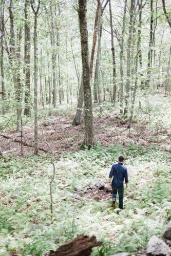hiking in Connecticut woods in the summer