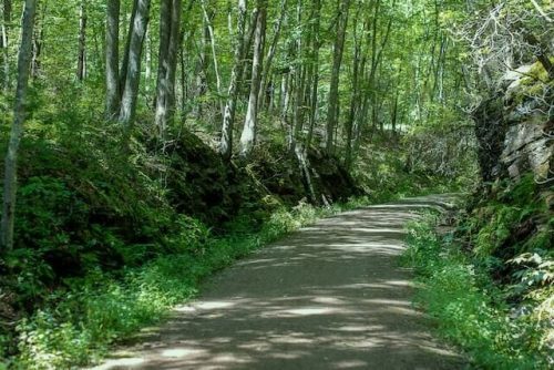 Things To Do In Ct In July: Top 23 Most Unique Spots 11 hiking trail