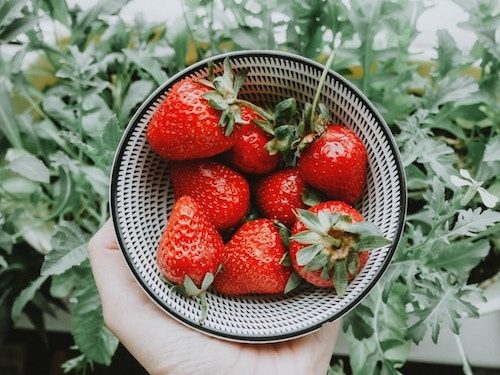 a basket of fresh strawberries over a bed of arugula, the perfect combination for this May foodie guide