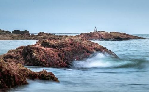 Things To Do In Ct In July: Top 23 Most Unique Spots 6 new haven light