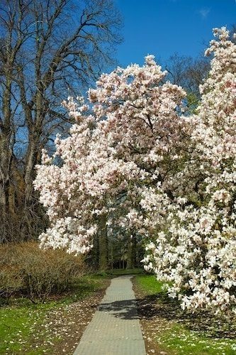 4a27a033 0c42 401e b852 77fc6d49cc74 Best Time to Visit Connecticut: Everything You Need to Know